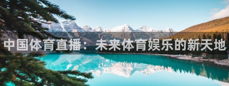 中国体育直播：未来体育娱乐的新天地