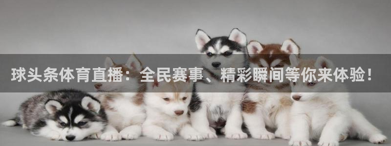 球头条体育直播：全民赛事、精彩瞬间等你来体验！