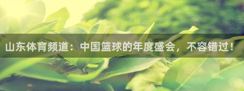 山东体育频道：中国篮球的年度盛会，不容错过！