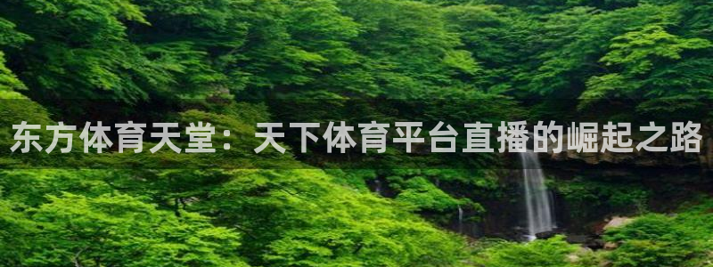 东方体育天堂：天下体育平台直播的崛起之路
