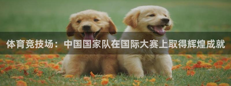 体育竞技场：中国国家队在国际大赛上取得辉煌成就