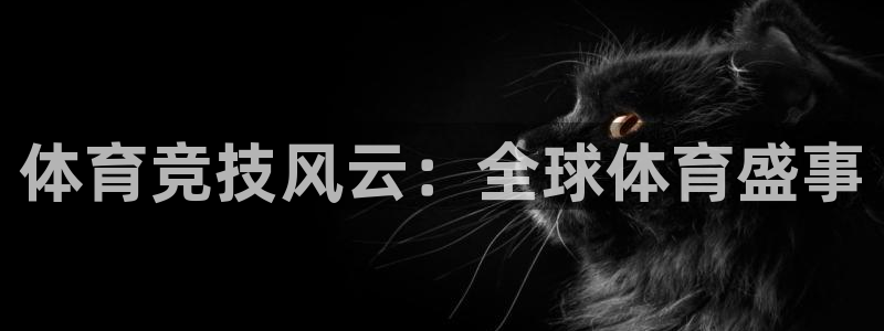 体育竞技风云：全球体育盛事