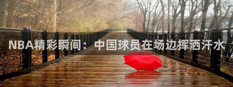 NBA精彩瞬间：中国球员在场边挥洒汗水